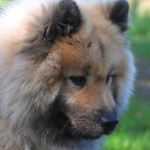 Программы лояльности казино без депозита и защита игровых интересов