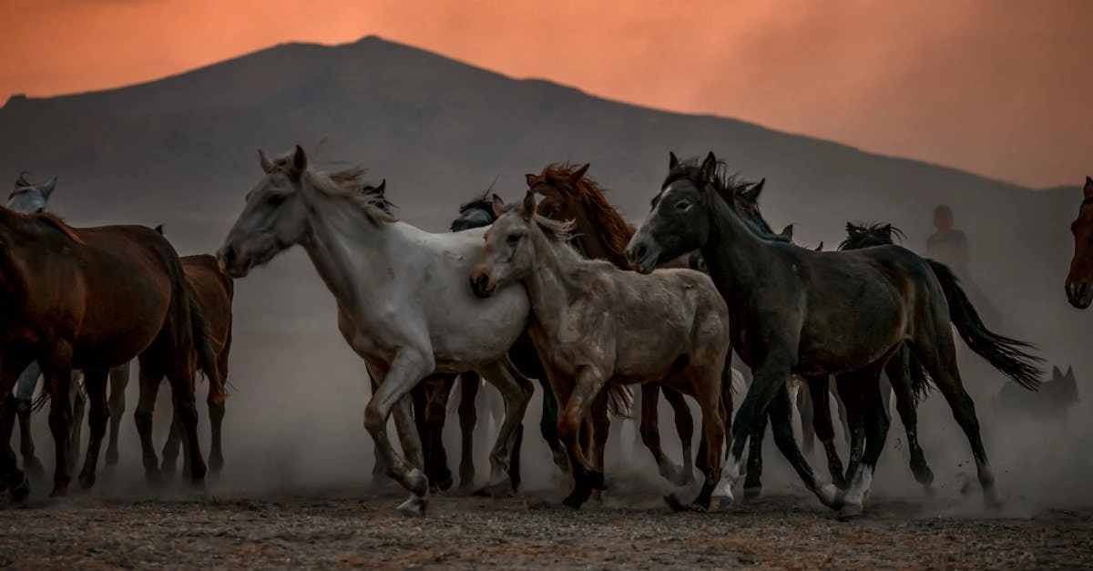 Традиционная символика Дикого Запада в слот-игре Mustang Gold