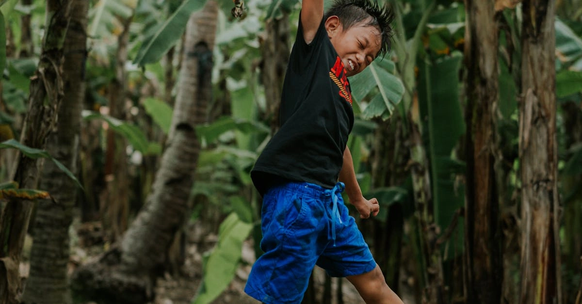 Традиционный подход к анализу бонусов без депозита в онлайн-казино